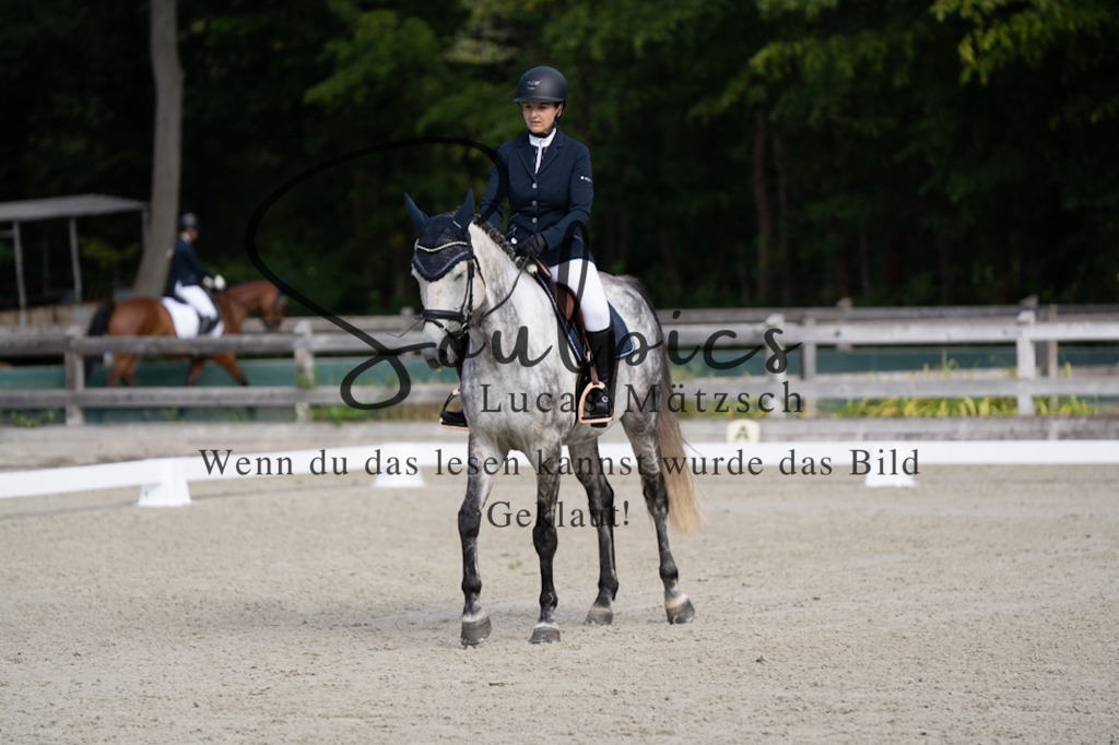 A7V06831 | Turnier/Reitfotograf