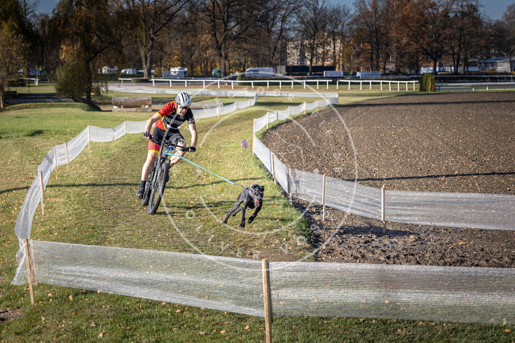 CaniXpix_DV3A3632 | Hundefotografie, Tierfotograf, Pfotenfotografie, Fotoshooting Hund, Hunde Portrait, Hundesport, Hundeportraits, Heideshooting, Hunde, Sportfotograf, Hundefotograf, Turnierhundsport, THS,  - Realisiert mit Pictrs.com
