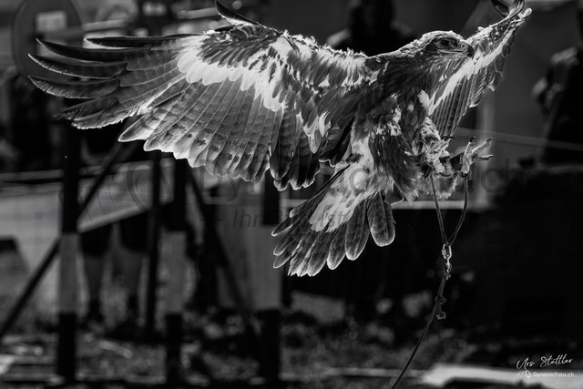 IMG_2022_07_10_0021104 | Professionelle Fotografen für Portrait-, Produkt-, Beauty -, Fashion-, kommerzielle - u. Hochzeitsfotografie sowie für Veranstaltungen. Lokal vor Ort oder in lokalen Studios.