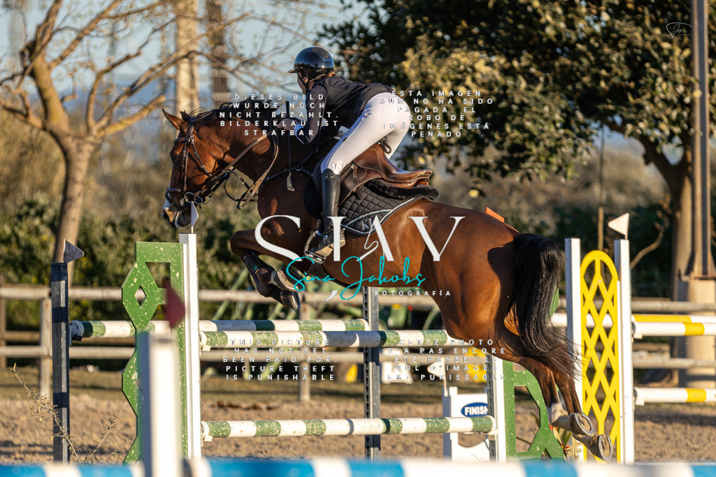 IMG_2917-2 | s-jay-photography - Realisiert mit Pictrs.com