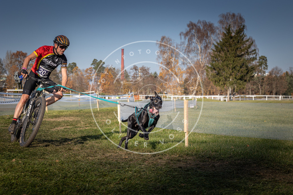 CaniXpix_0L8A6820 | Hundefotografie, Tierfotograf, Pfotenfotografie, Fotoshooting Hund, Hunde Portrait, Hundesport, Hundeportraits, Heideshooting, Hunde, Sportfotograf, Hundefotograf, Turnierhundsport, THS,  - Realisiert mit Pictrs.com