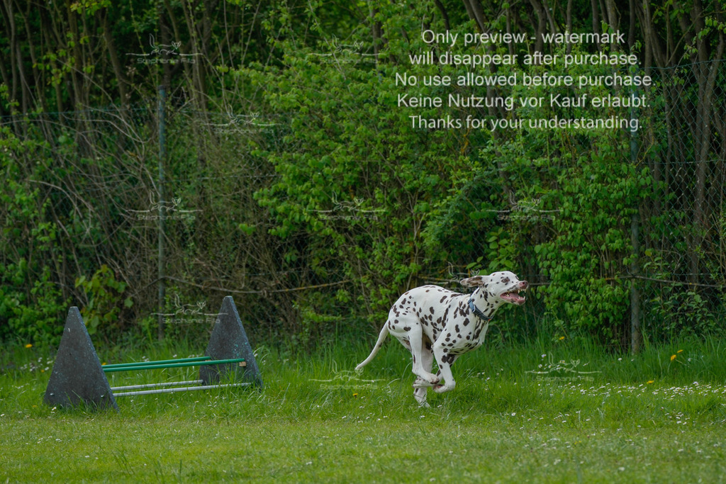 Sa_Laeufe_VK1und2_06-27 | stephaniefillaphotographie - Realisiert mit Pictrs.com
