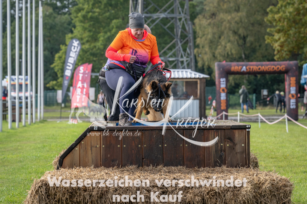 1506-90052 | kk-dogfotos