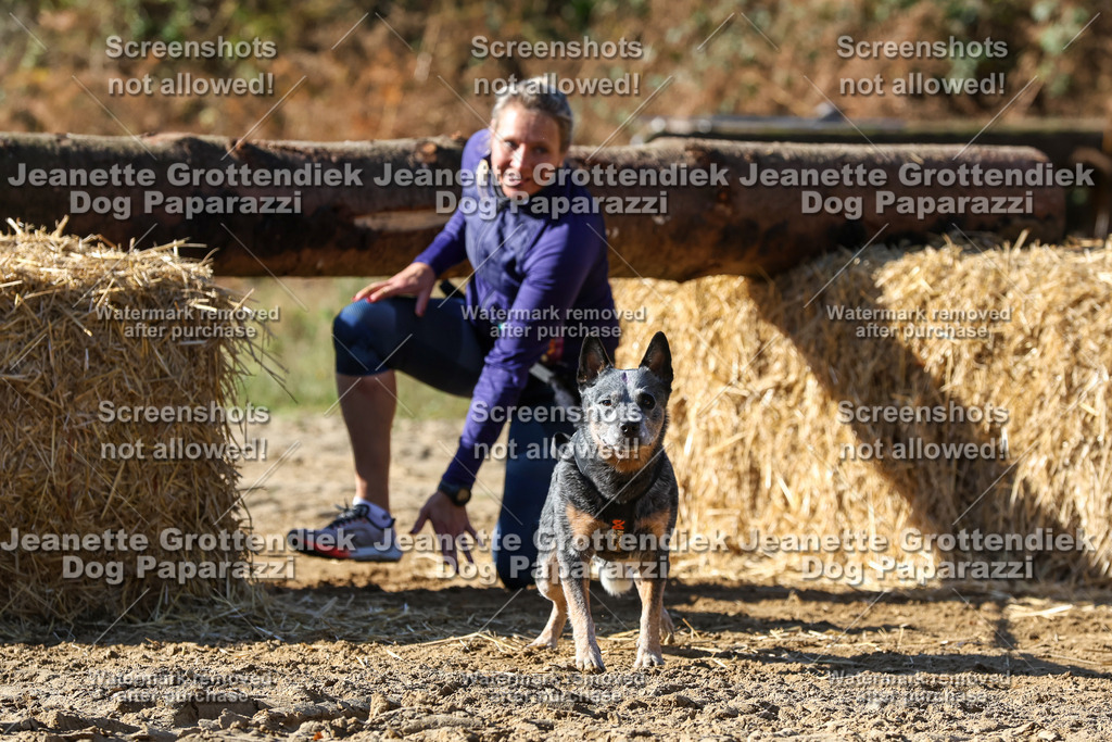 Dog Paparazzi - Strongdog 10-25-4645 | Dog Paparazzi Jeanette Grottendiek Fotografie & Videografie - Realisiert mit Pictrs.com