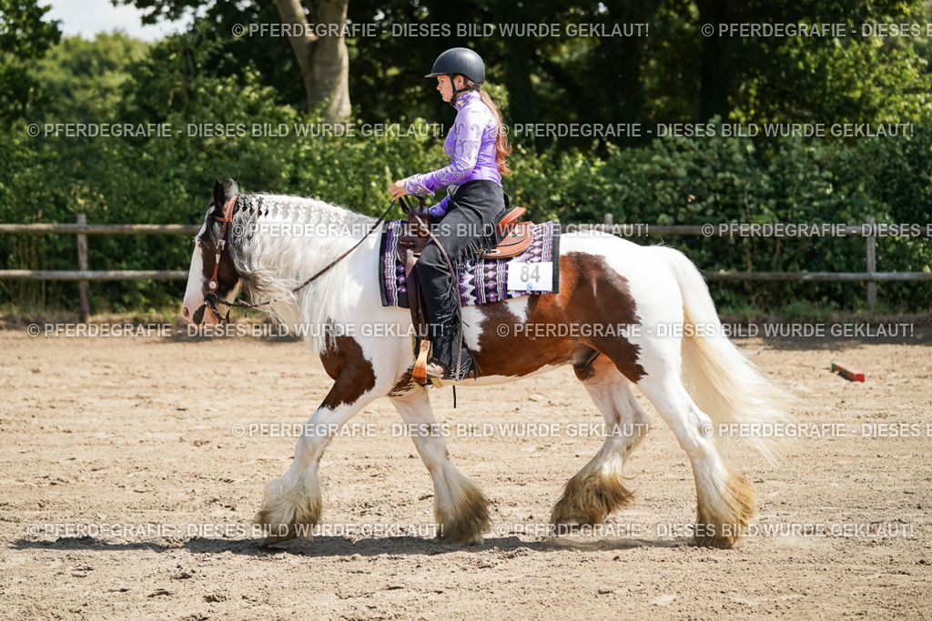 DSC07483 | Pferdegrafie