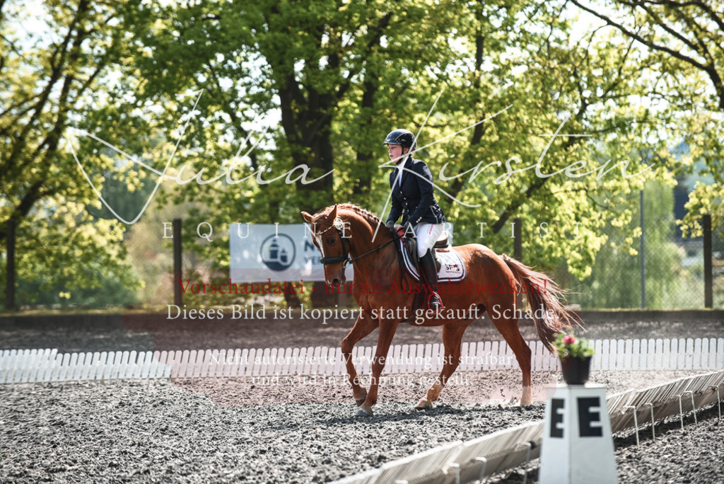 DSC_9057 | Pferde- und Turnierfotografie in Westsachsen. Pferdeportraits, Auftragszeichnungen und intuitive Kunst.