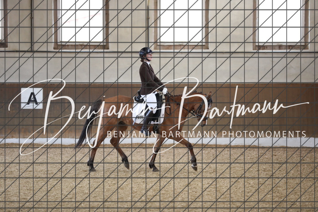 AZ2A0633 | Benjamin Bartmann Photomoments