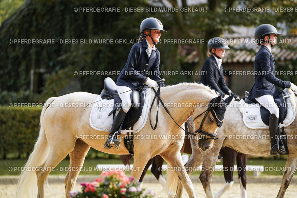 DSC05028 | Pferdegrafie