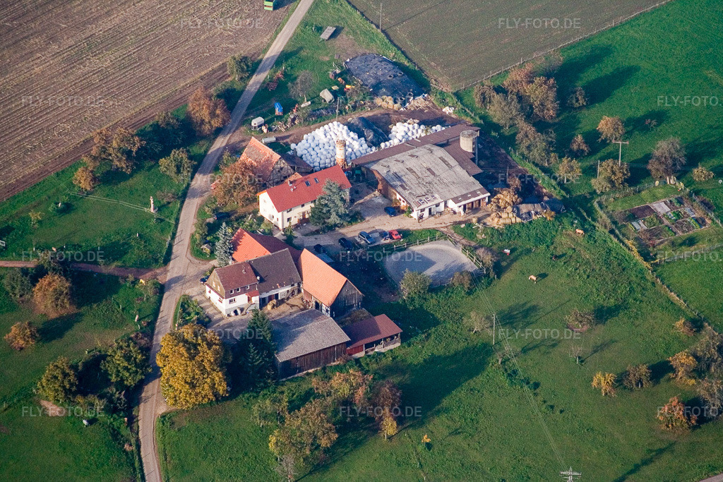 Luftbild: Aussiedlerhof im Ortsteil Völkersbach in Malsch im Bundesland Baden-Württemberg in Deutschland. Foto: IMG_14039.jpg vom 11.10.2008 durch Werner Riehm/FLY-FOTO.de