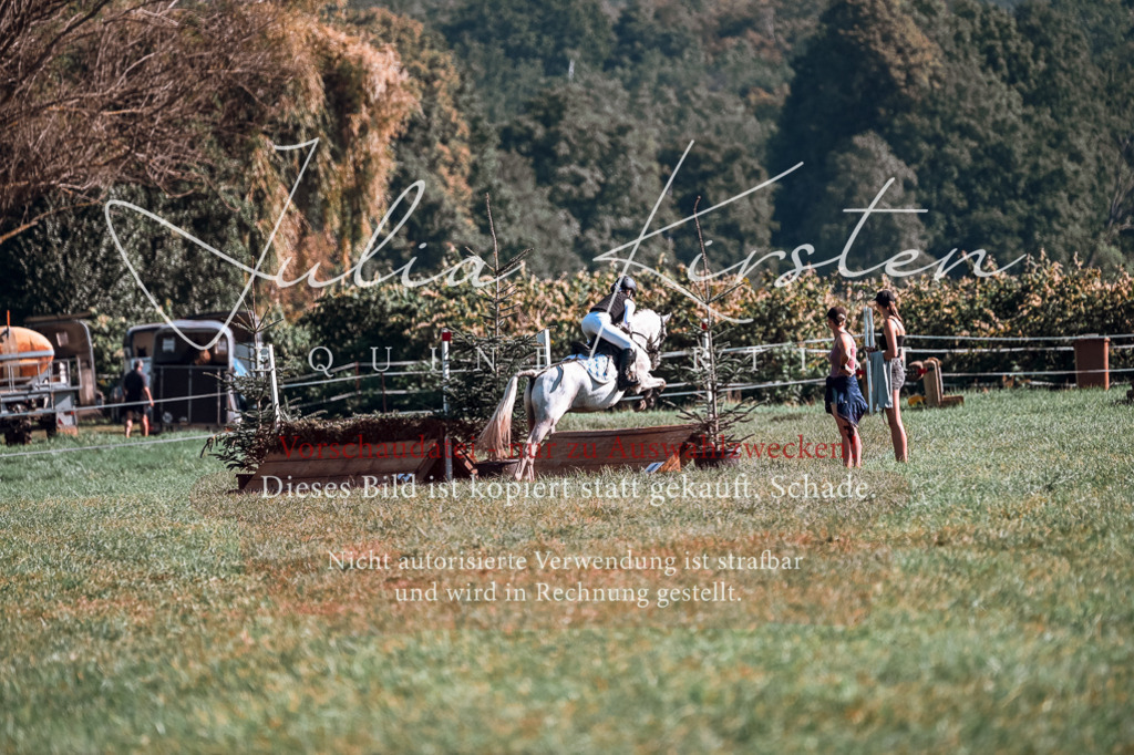 DSC_0649 | Pferde- und Turnierfotografie in Westsachsen. Pferdeportraits, Auftragszeichnungen und intuitive Kunst.