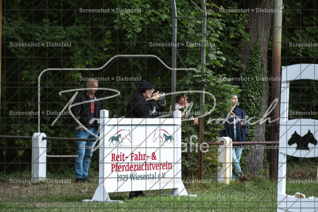 _W6A1898 | ronjaprokoschfotografie - Realisiert mit Pictrs.com