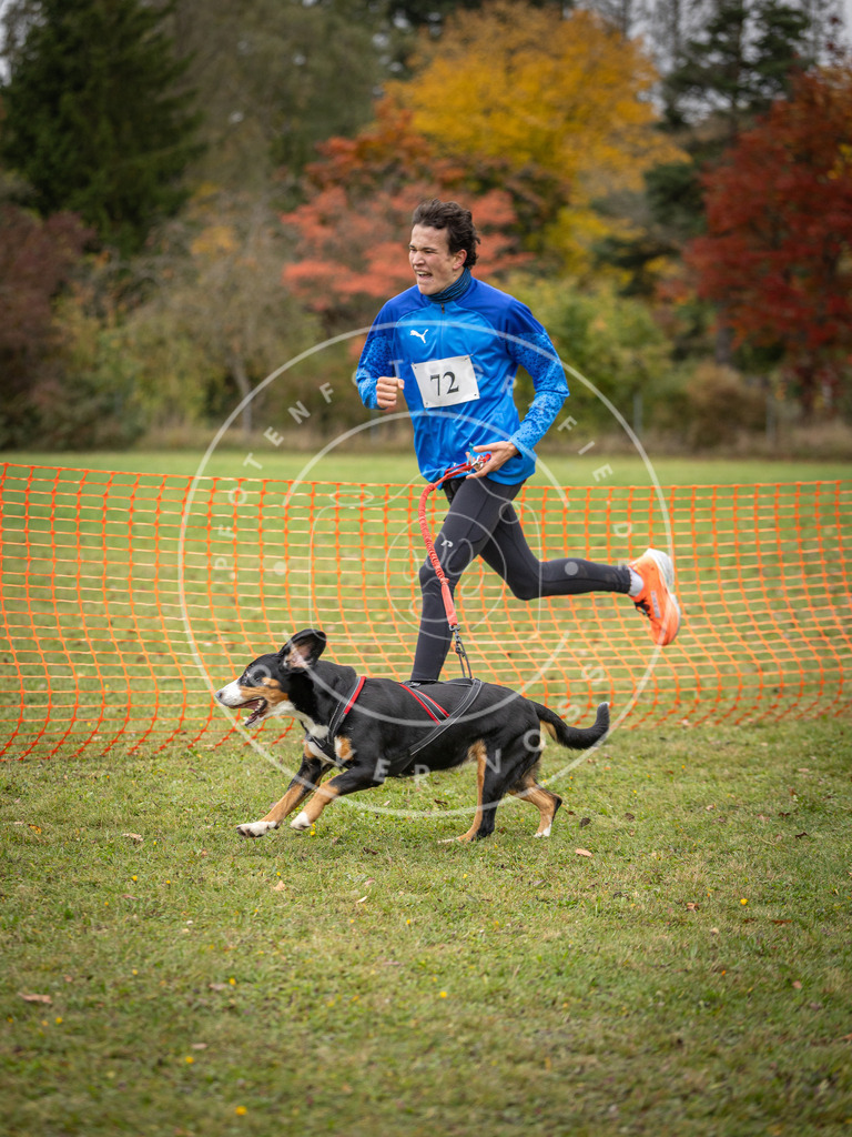 Pfotenfotografie_DV3A2836 | Hundefotografie, Tierfotograf, Pfotenfotografie, Fotoshooting Hund, Hunde Portrait, Hundesport, Hundeportraits, Heideshooting, Hunde, Sportfotograf, Hundefotograf, Turnierhundsport, THS,  - Realisiert mit Pictrs.com