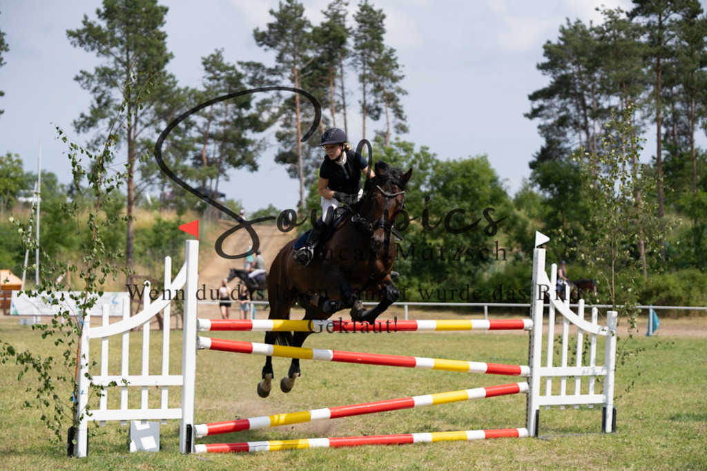 A7V07416 | Pferdefotograf