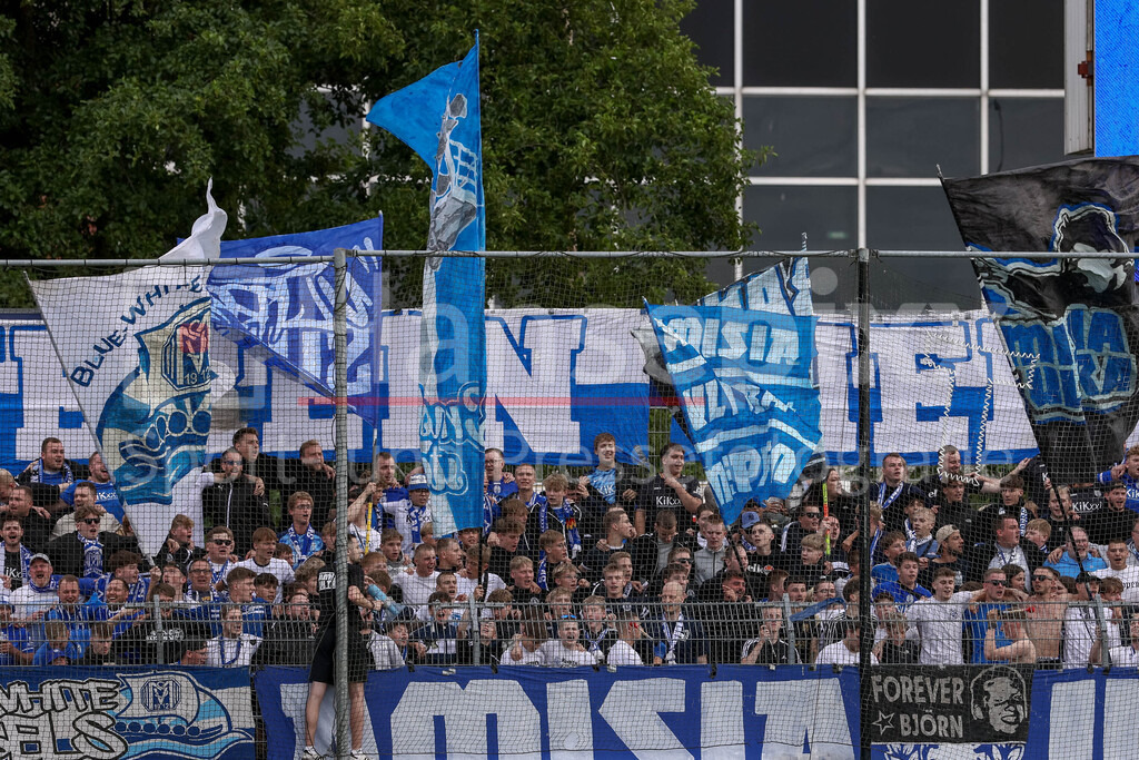 Fussball, Regionalliga Nord, BSV Kickers Emden - SV Meppen | Die Fans des SV Meppen, Fanblock, Zuschauer, Fahnen, Fanschals, Gästeblock, Ultras
