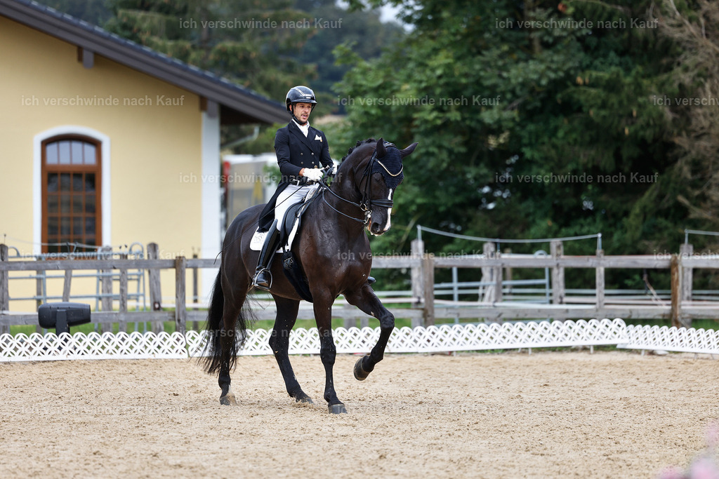 12-031-DRESSUR  S___  -StoibPH-5320 | working equitationturnier fotograf videograf stoibphotography marixx film working equitation deutschland reitsport turnierfotografie eventfotografie equestrian events