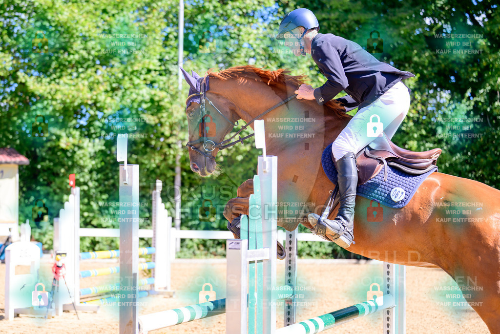 29082026-Giesenbach-Prfg10-0118 | Fokus Hufschlag Fotografie - Realisiert mit Pictrs.com