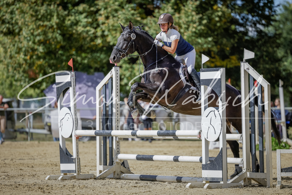 20250906-_3LI6275 | Tierfotografie Pferde, Hunde, Katzen, Haustiere.
Turnierfotografie Reitturniere, Reiten, Springreiten, Dressur in Hanau, dem Main-Kinzig-Kreis und dem Rhein-Main- Gebiet um Frankfurt