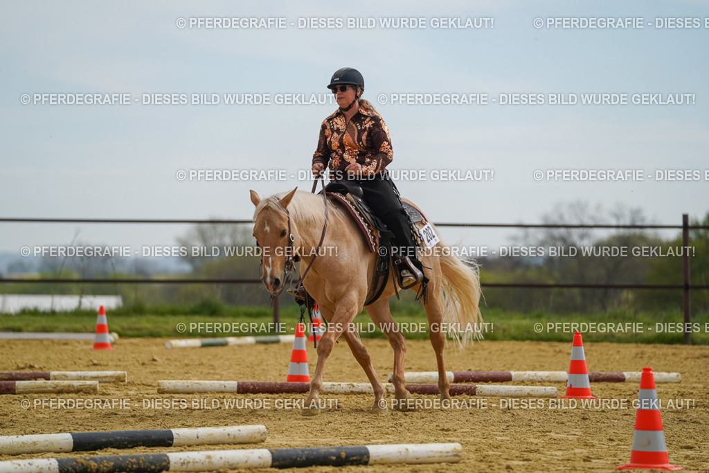 DSC02234 | Pferdegrafie