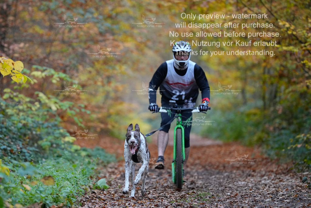 Scooter_So-17 | stephaniefillaphotographie - Realisiert mit Pictrs.com