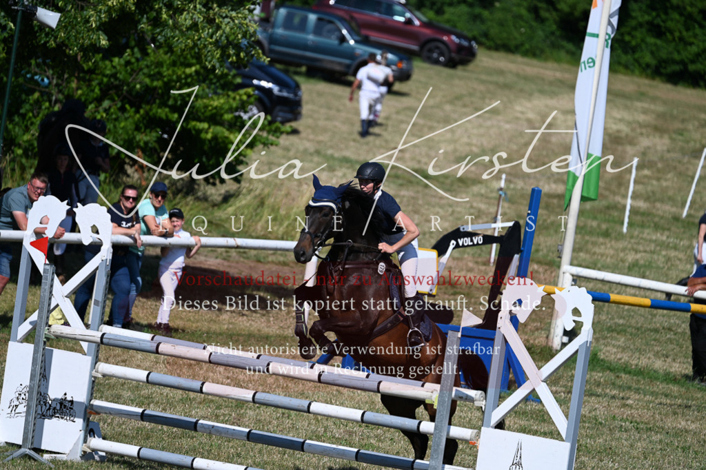 DSC_1847 | Pferde- und Turnierfotografie in Westsachsen. Pferdeportraits, Auftragszeichnungen und intuitive Kunst.