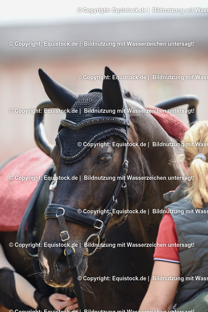 20250608_CVI-Masterclass_0830 | Foto: Thomas Hartig