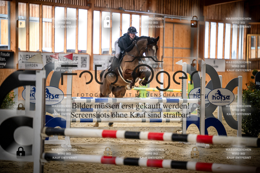 DOS_0707 | Entdecke hochwertige Reitturnierfotos von Foto Oger. Professionell, emotional und authentisch – jetzt Lieblingsmomente im Shop bestellen.Deutschlandweite Turnierfotografie. - Realisiert mit Pictrs.com