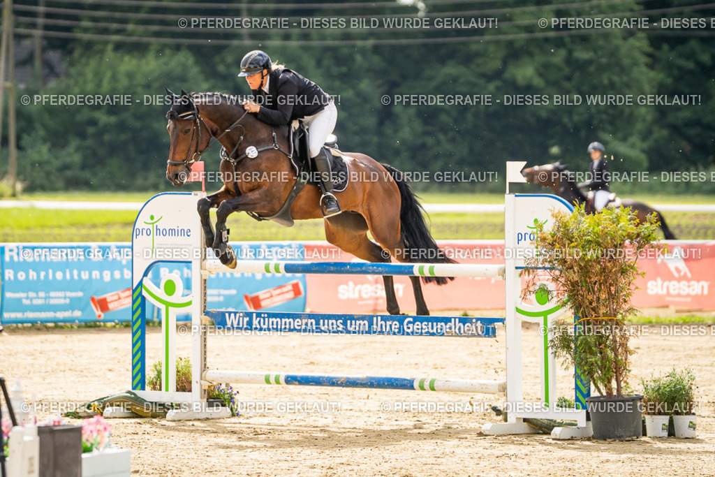 DSC05971 | Pferdegrafie