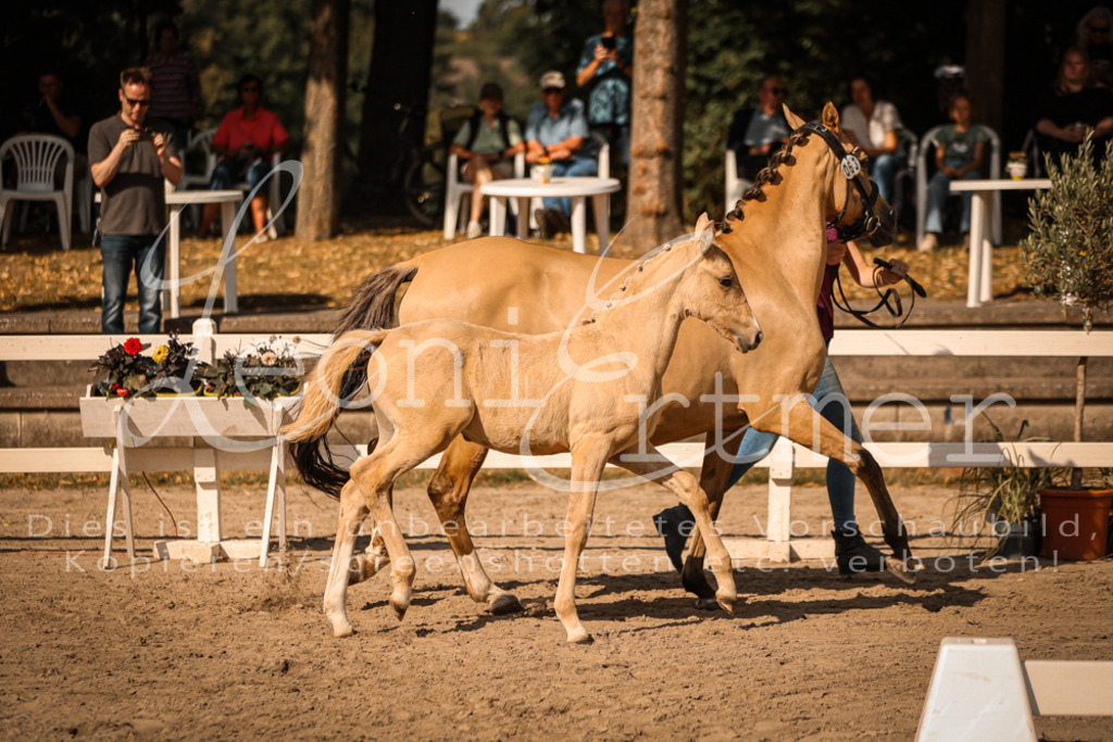 10.DoRP00187 | Leoni Ertmer Photography - Realisiert mit Pictrs.com