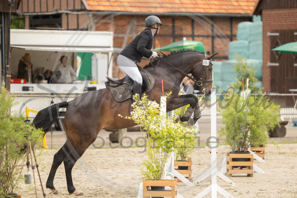 994A9222 | sabrinanicolaifotografie - Realisiert mit Pictrs.com