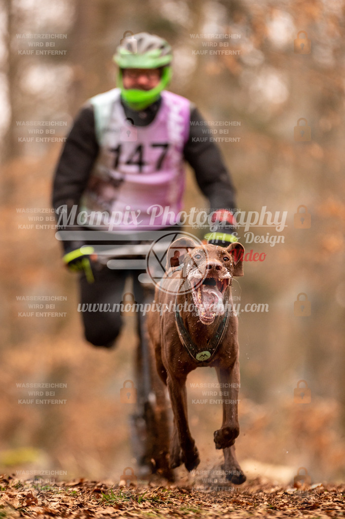 AKM_ST_2023_SAM_Scooter-12 | PayLife