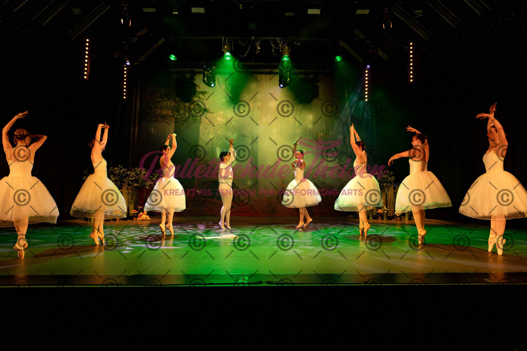 Ballettaufführung-218 | Bildershop Lem'n Entertainment - Realisiert mit Pictrs.com