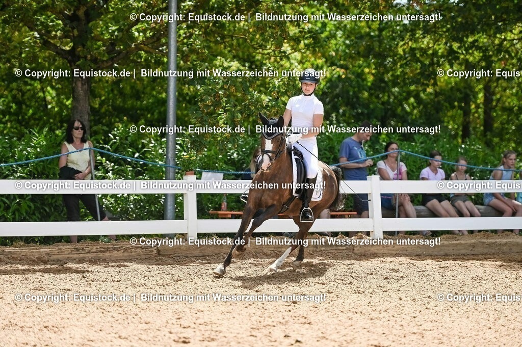 20230715_09_Dressur-WB_0171 | equistock