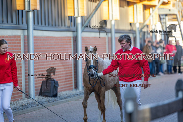KWEP (295 von 702) | mandyhollmannphotographie