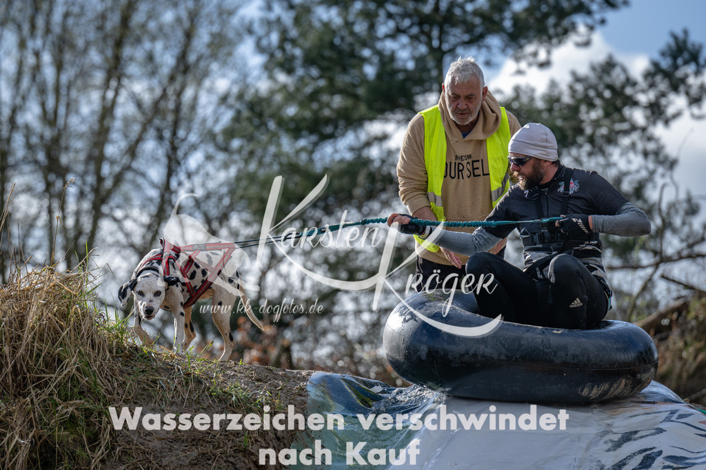 1554_ZZ92089 | kk-dogfotos