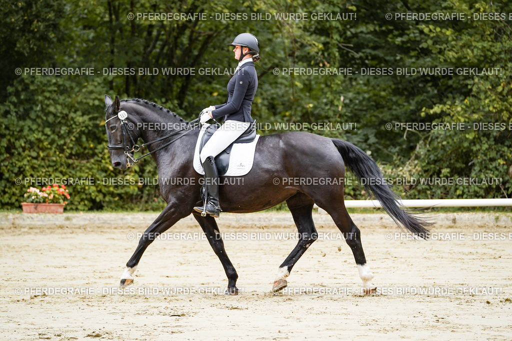 DSC08264 | Pferdegrafie