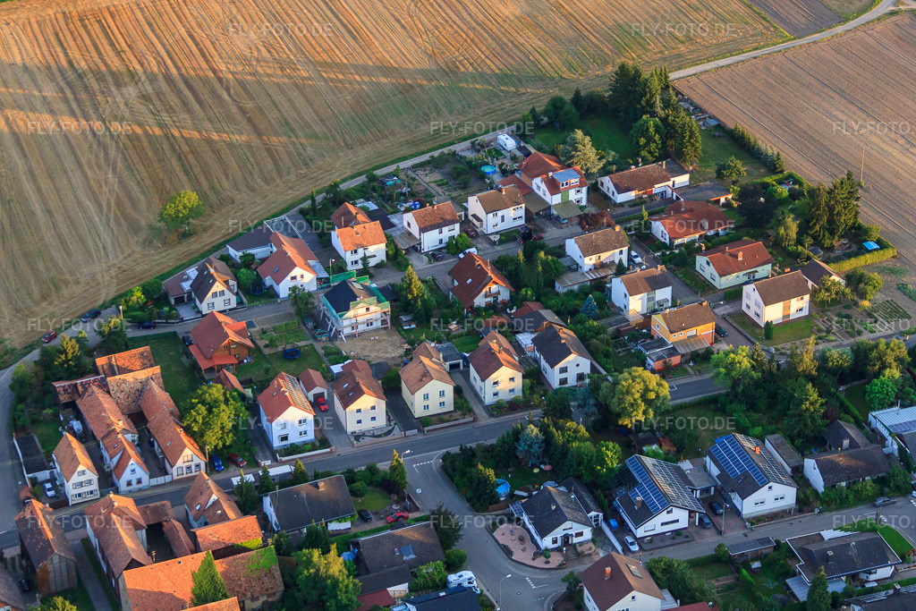 Luftbild: Waldsr in Herxheimweyher im Bundesland Rheinland-Pfalz in Deutschland. Foto: IMG_51626.jpg vom 08.08.2012 durch Werner Riehm/FLY-FOTO.de