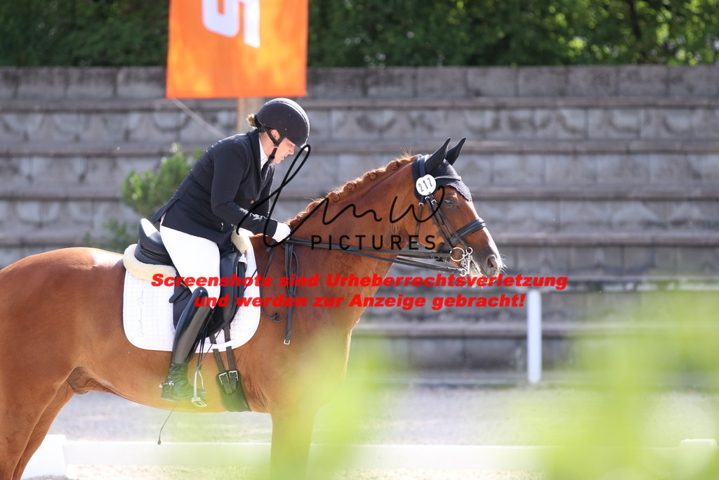 IMG_5656 | lmwpictures - Realisiert mit Pictrs.com