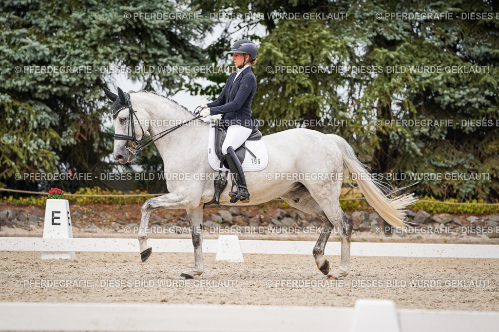 DSC07808 | Pferdegrafie