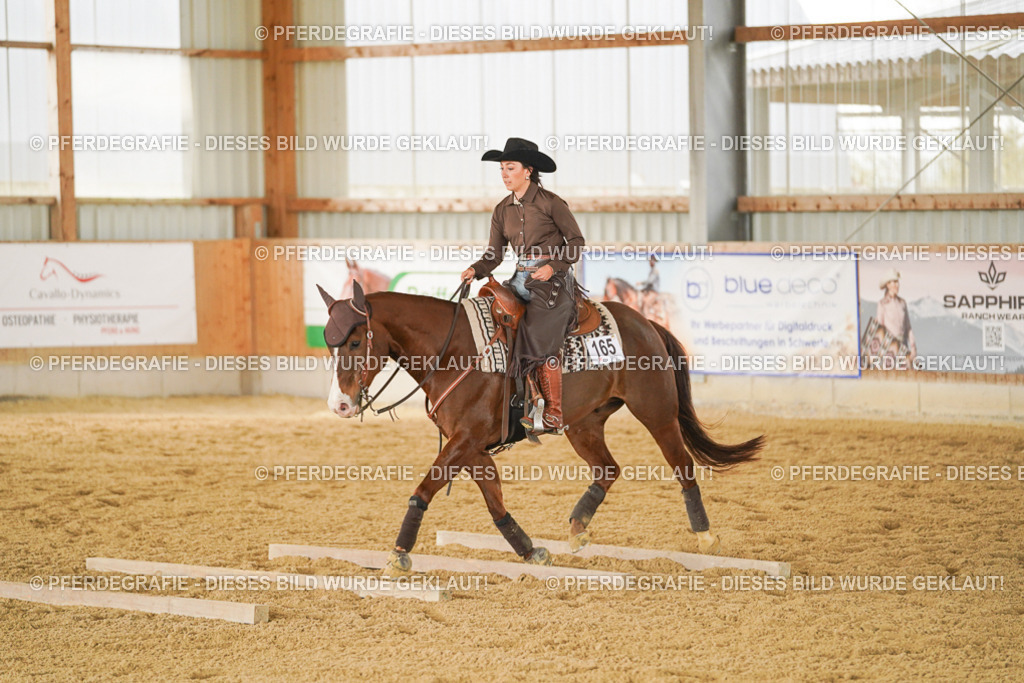 DSC04809 | Pferdegrafie