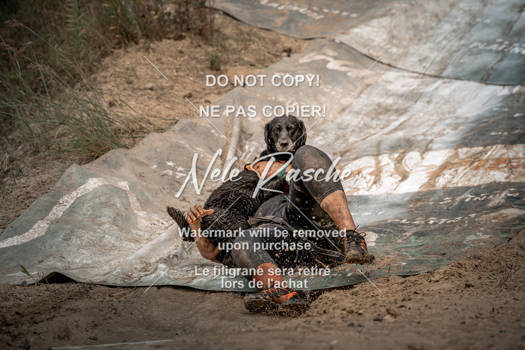 nelerasche_sa1300-1345_579 | nelerasche