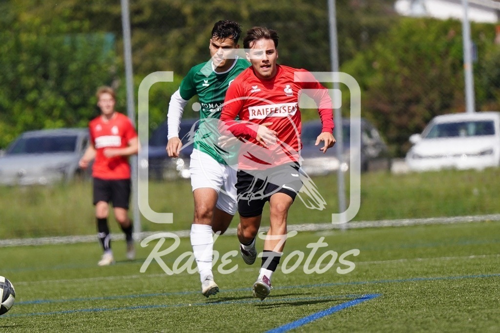 SON07863 | rabefotos