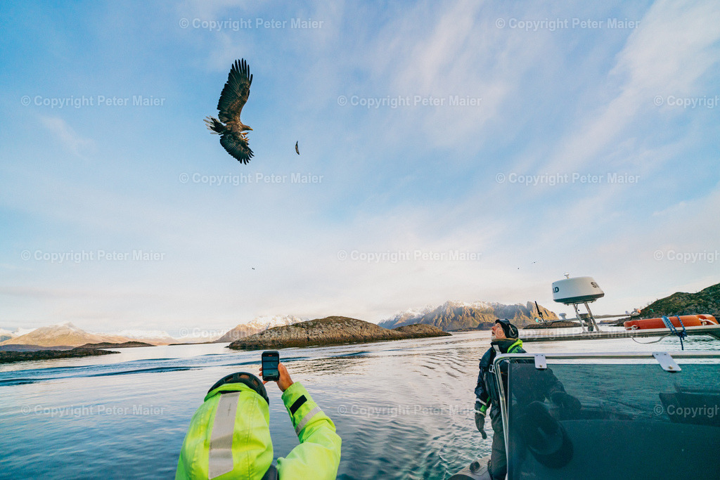 Lofoten_Trollfjord_Aurora_De_Historiske_Trip_2023__Peter_Maier-683 | piet_flosse