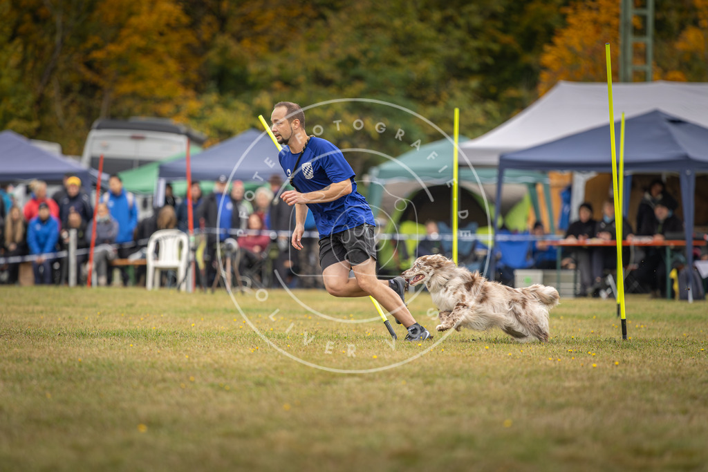 Pfotenfotografie_DV3A5450 | Hundefotografie, Tierfotograf, Pfotenfotografie, Fotoshooting Hund, Hunde Portrait, Hundesport, Hundeportraits, Heideshooting, Hunde, Sportfotograf, Hundefotograf, Turnierhundsport, THS,  - Realisiert mit Pictrs.com