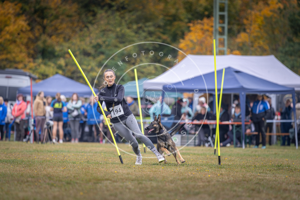 Pfotenfotografie_DV3A0958 | Hundefotografie, Tierfotograf, Pfotenfotografie, Fotoshooting Hund, Hunde Portrait, Hundesport, Hundeportraits, Heideshooting, Hunde, Sportfotograf, Hundefotograf, Turnierhundsport, THS,  - Realisiert mit Pictrs.com