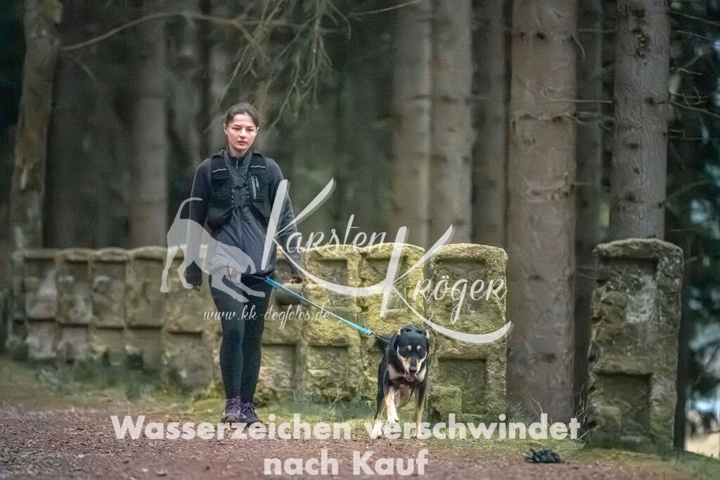 0830DZ6_3230 | kk-dogfotos