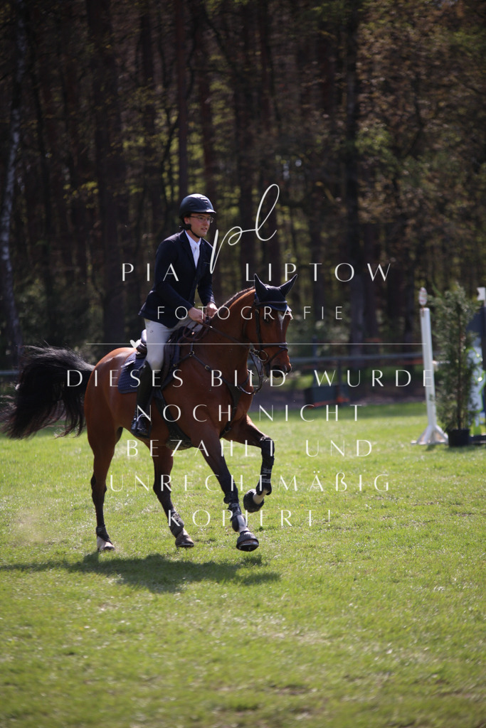 IMGT5926 | pl-fotografie