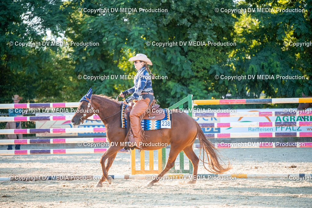 EWP_7191 | dv-media-shop - Realisiert mit Pictrs.com