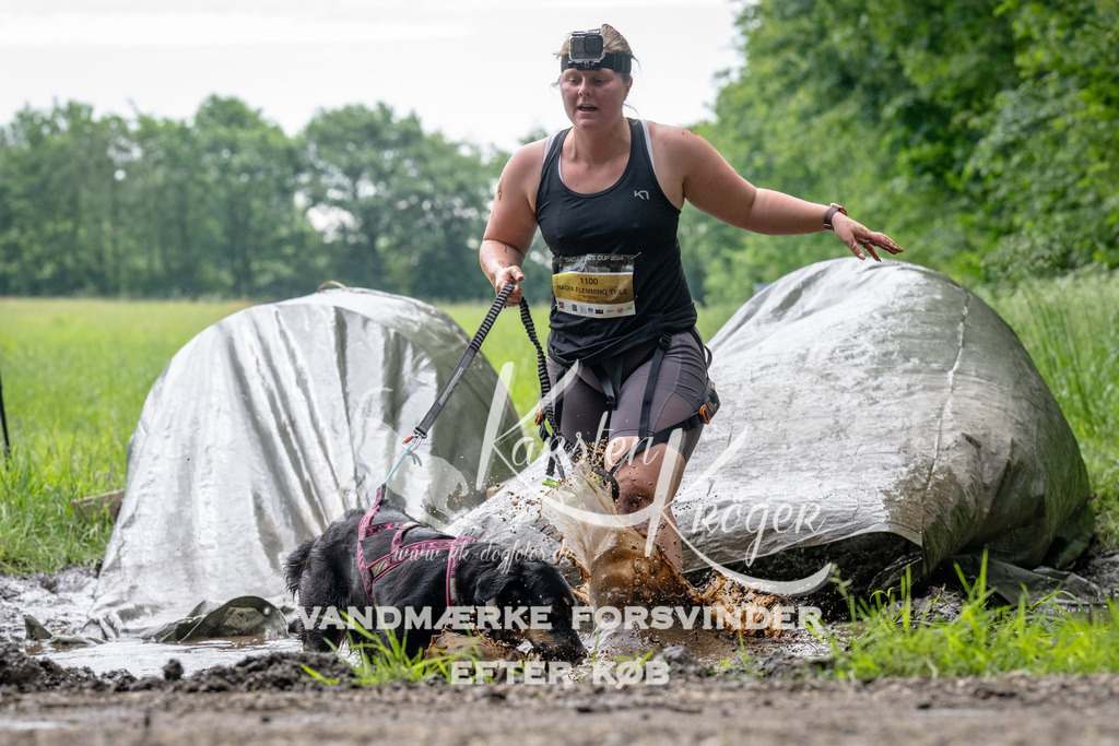 0947_ZZ91751 | kk-dogfotos