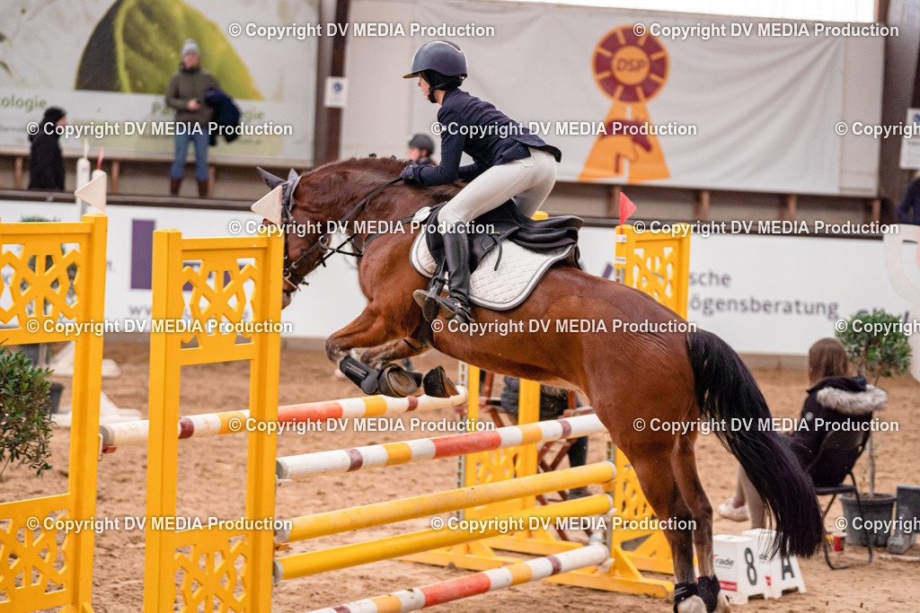 Kranichstein Tag 3-320 | dv-media-shop - Realisiert mit Pictrs.com