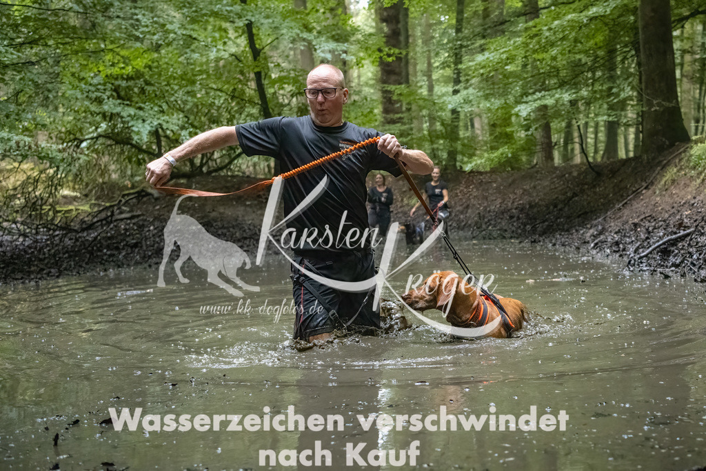 1147_ZZ91718-Bearbeitet-2 | kk-dogfotos
